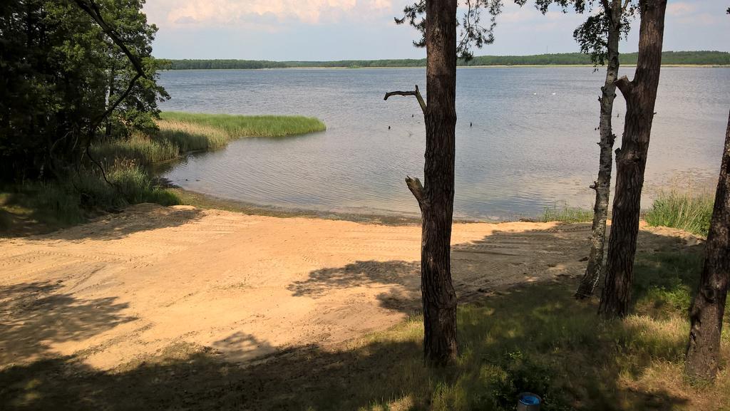 Apartament Sloneczna * Radzyn